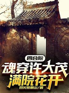 四合院之许大茂也有春天3Q