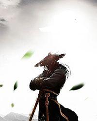 凤袍加身什么意思